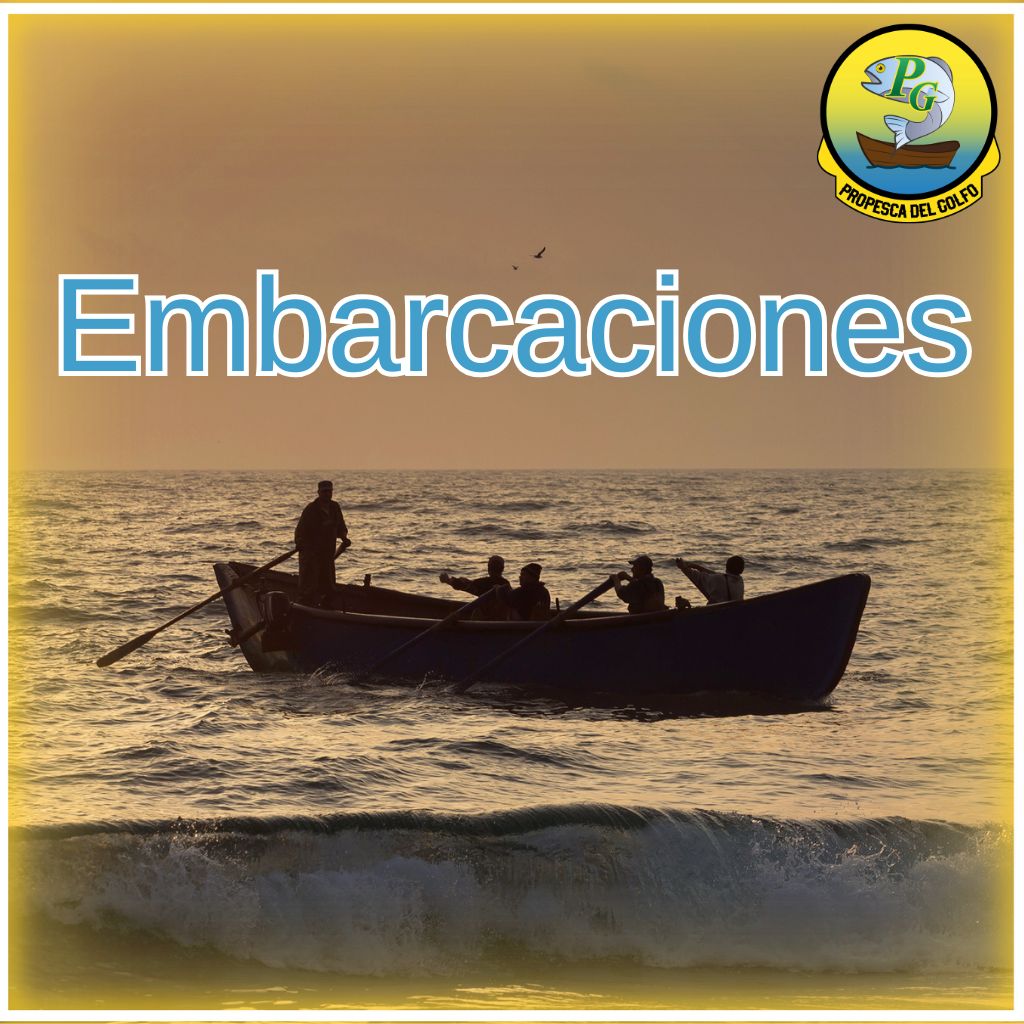 Embarcaciones